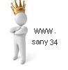 Sany34