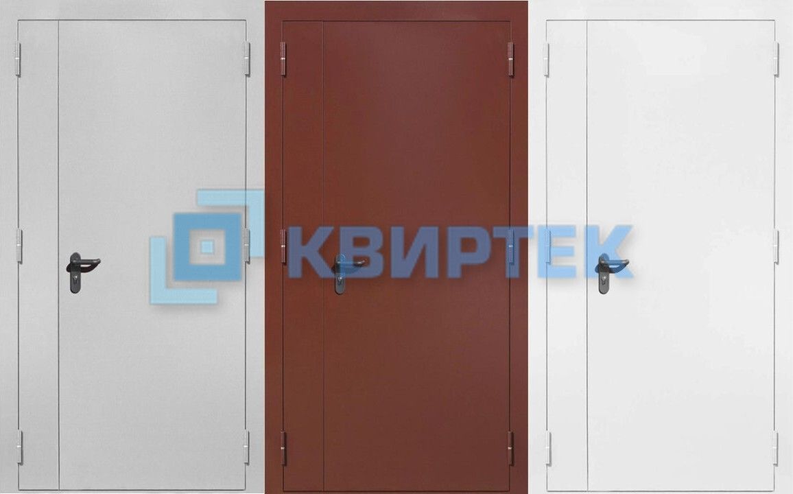 Противопожарная двупольная дверь ДПМ-02 EIS60