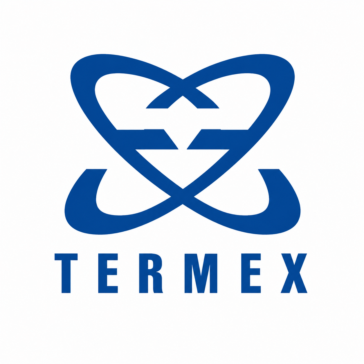 ТЕРМЭКС_logo_1786963641.png